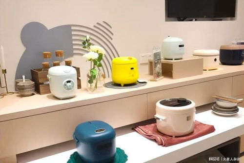 中國(guó)小家電上市公司的“營(yíng)收王” 一位年收202億元的商業(yè)巨頭領(lǐng)先科沃斯、超越九陽(yáng)